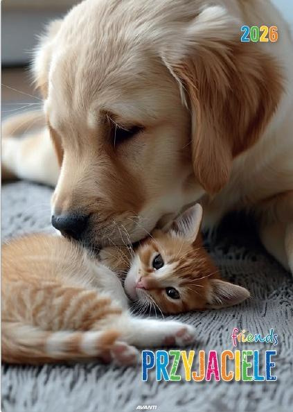 Kalendarz 2026 ścienny Przyjaciele