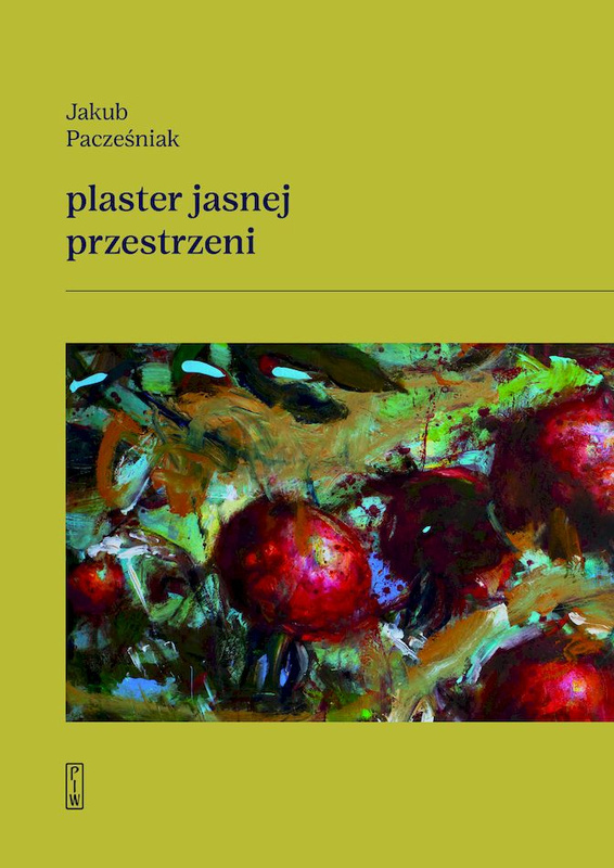 Plaster jasnej przestrzeni, Jakub Pacześniak