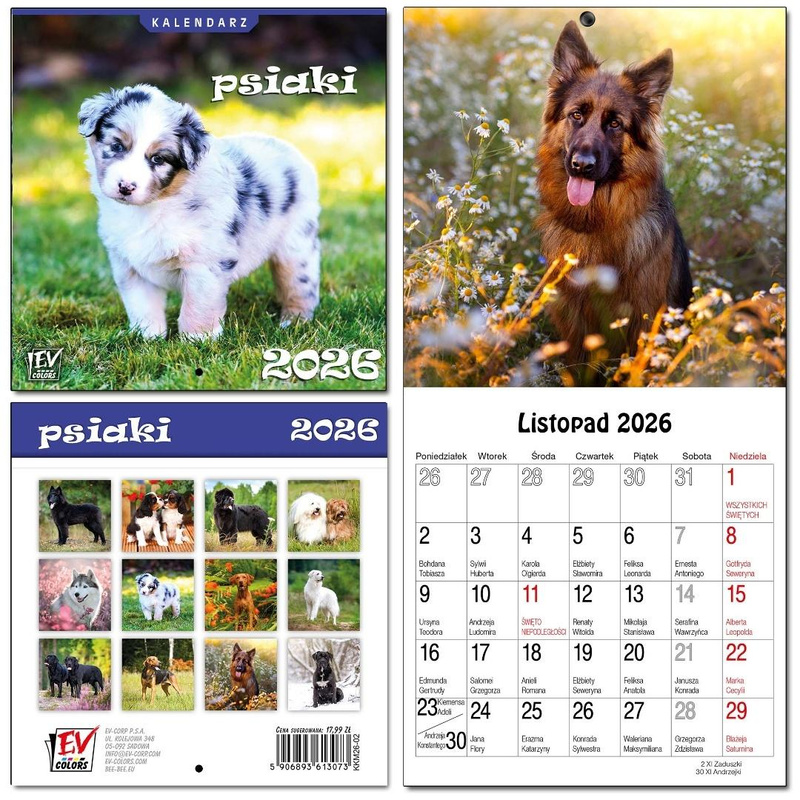 Kalendarz 2026 dla dzieci 16x32 13 plansz Psiaki