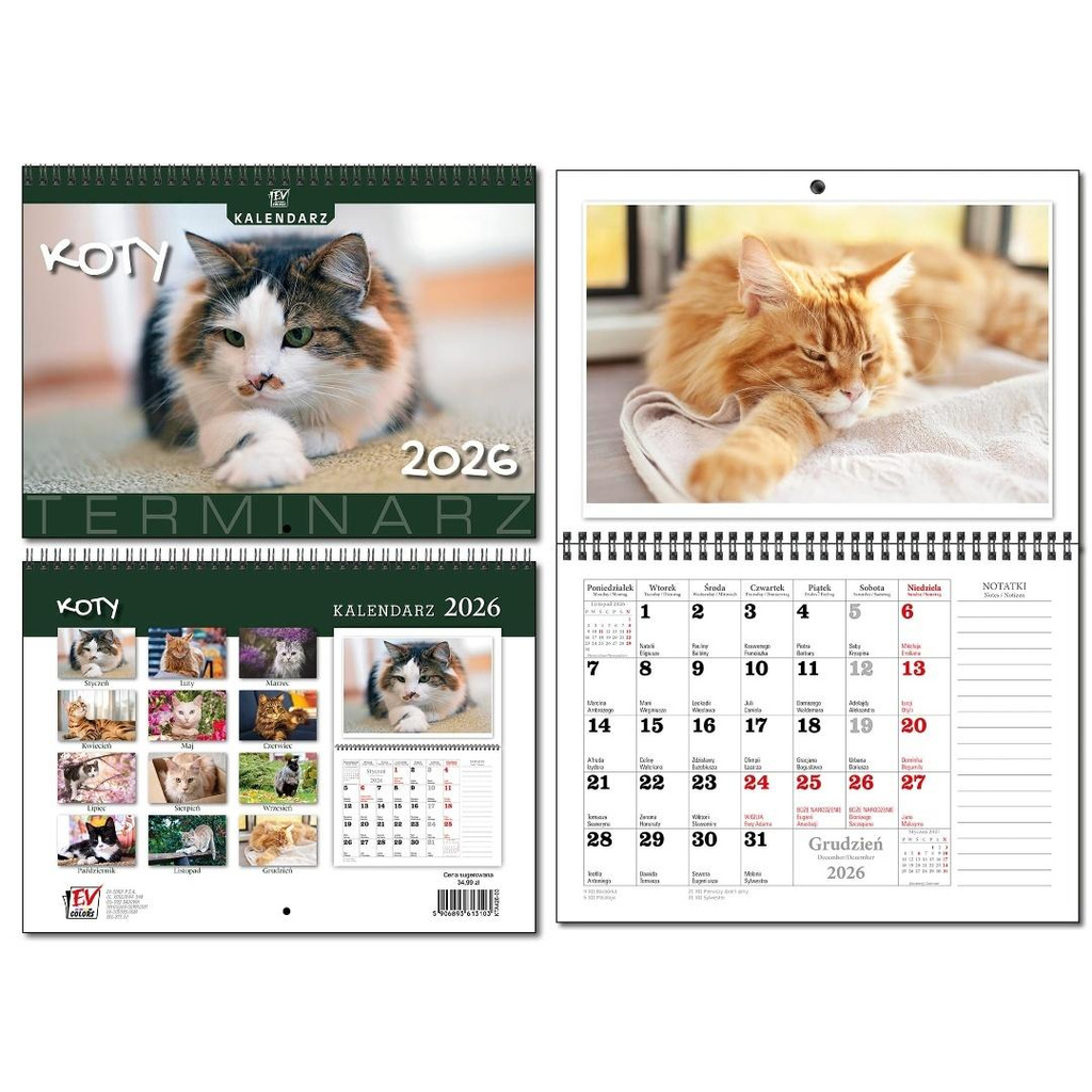 Kalendarz 2026 A3 terminarz 13p Koty