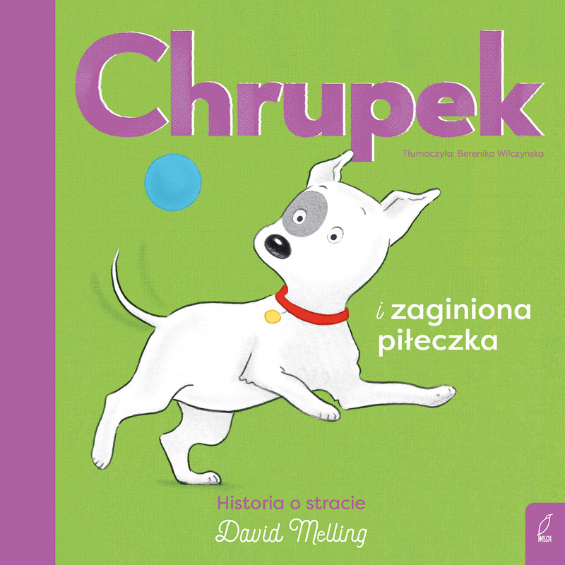 Chrupek i zaginiona piłeczka, David Melling
