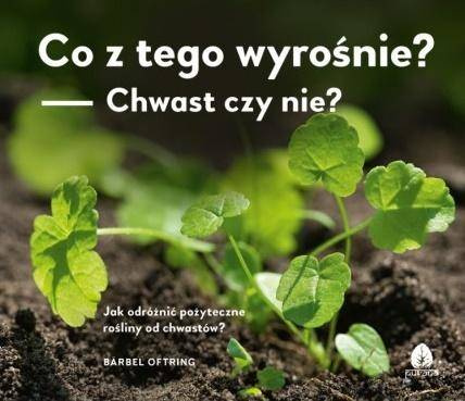 Co z tego wyrośnie? Chwast czy nie? - Barbel Oftring