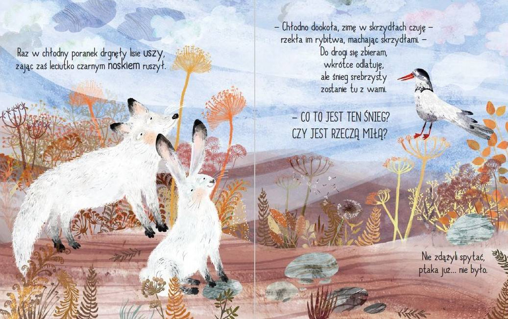 Co to jest ten śnieg?, Yuval Zommer