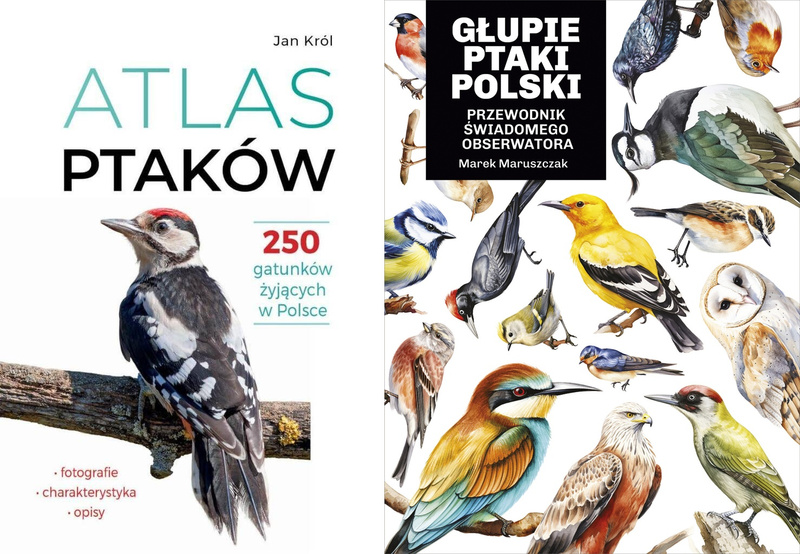 Atlas ptaków + Głupie ptaki Polski