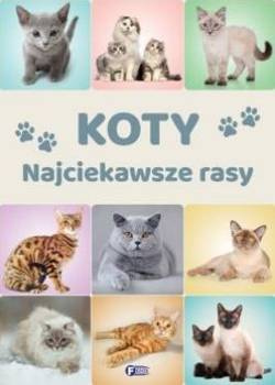 Koty. Najciekawsze rasy - praca zbiorowa