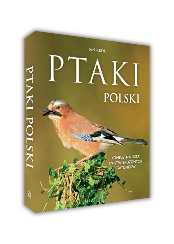 Ptaki Polski, Jan Król