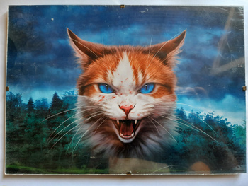 Plakat Wojownicy Niebezpieczna ścieżka