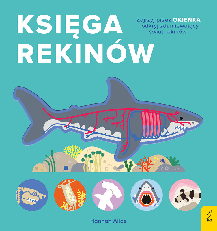 Encyklopedia z folią. Księga rekinów,