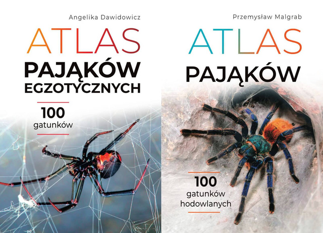Atlas pająków egzotycznych. 100 gatunków + Atlas pająków