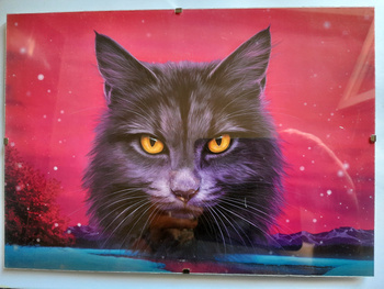 Plakat Wojownicy Ogień i lód