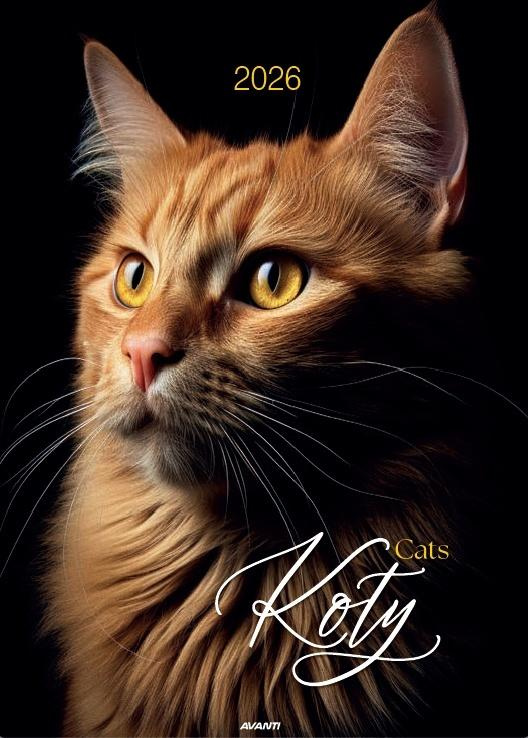 Kalendarz 2026 ścienny Koty