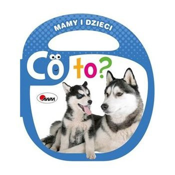 Co to? Mamy i dzieci, Piotr Kozera