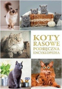 Koty rasowe. Podręczna encyklopedia - praca zbiorowa