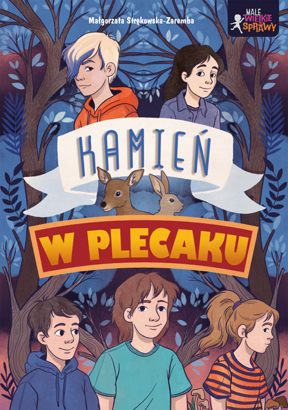 Kamień w plecaku. Małe wielkie sprawy, Małgorzata Strękowska-Zaremba