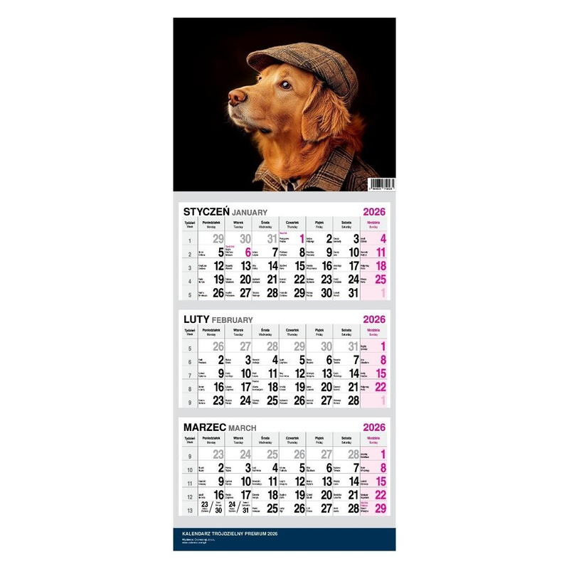 Kalendarz 2026 Trójdzielny Twarda Główka Pies