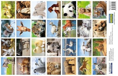 Naklejki Urocze zwierzęta 28szt