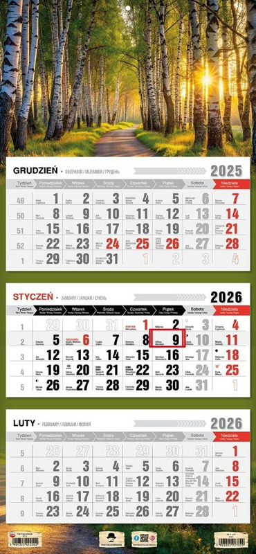 Kalendarz 2026 trójdzielny płaska główka las