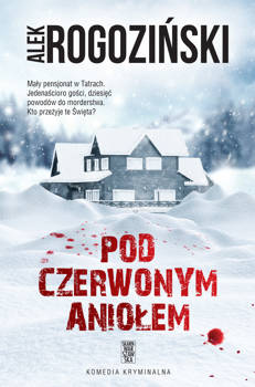 Pod Czerwonym Aniołem, Alek Rogoziński