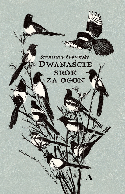 Dwanaście srok za ogon, Stanisław Łubieński
