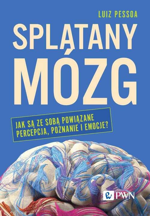 Splątany mózg, Pessoa Luiz