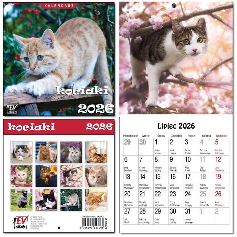 Kalendarz 2026 dla dzieci 16x32 13 plansz Kociaki