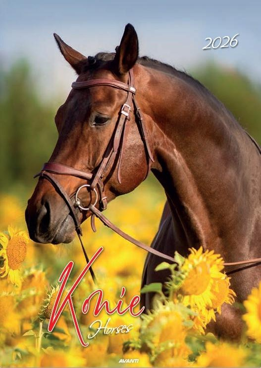 Kalendarz 2026 ścienny Konie
