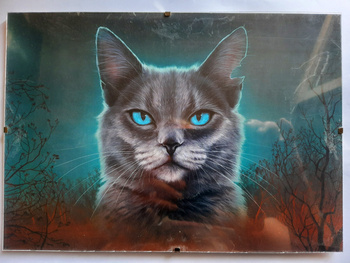 Plakat Wojownicy Las tajemnic