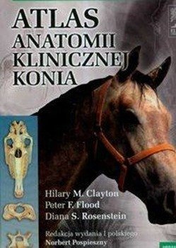 Atlas anatomii klinicznej konia - Pospieszny Norbert