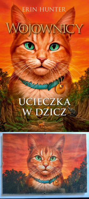Wojownicy - Ucieczka w dzicz - książka + plakat