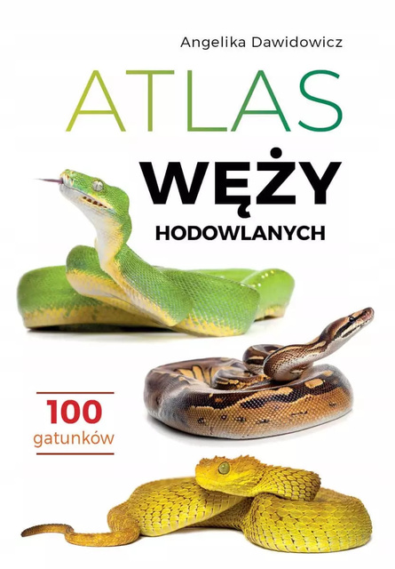 Atlas węży hodowlanych, Angelika Dawidowicz