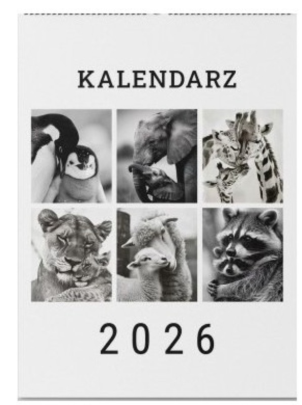 Kalendarz słodkie zwierzęta 2026