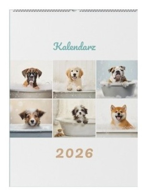 Kalendarz szczeniaki w kąpieli 2026