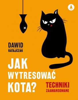 Jak wytresować kota? Techniki zaawansowane