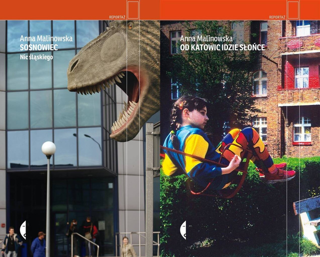 Sosnowiec + Od Katowic idzie słońce, Anna Malinowska