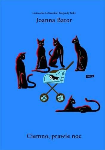 Ciemno prawie noc, Joanna Bator
