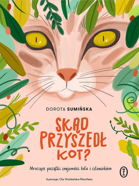 Skąd przyszedł kot?, Dorota Sumińska