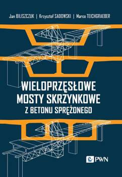 Wieloprzęsłowe mosty skrzynkowe z betonu sprężonego, Jan Biliszczuk