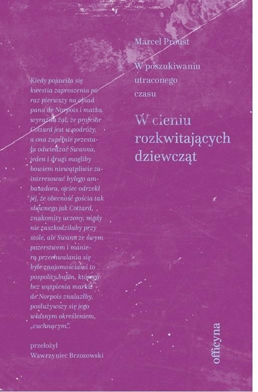 W cieniu rozkwitających dziewcząt, Marcel Proust