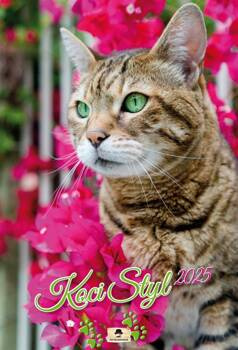 Kalendarz 2025 A3 ścienny Koci Styl, Pan Kalendarzyk