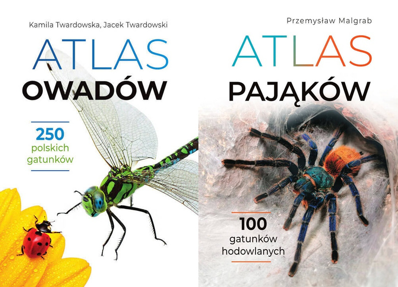 Atlas owadów + Atlas pająków