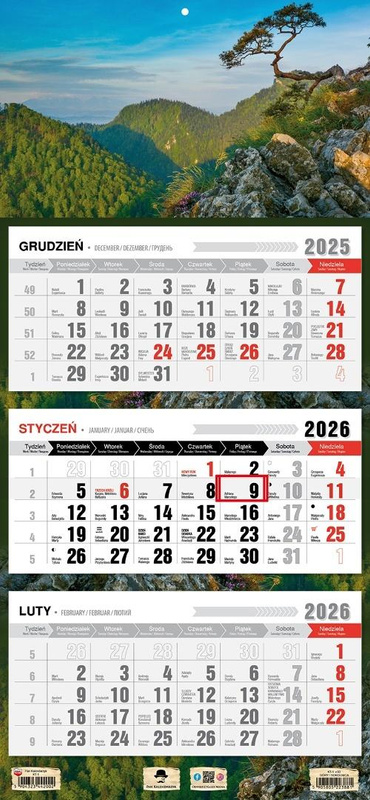 Kalendarz 2026 trójdzielny płaska główka Sokolnica