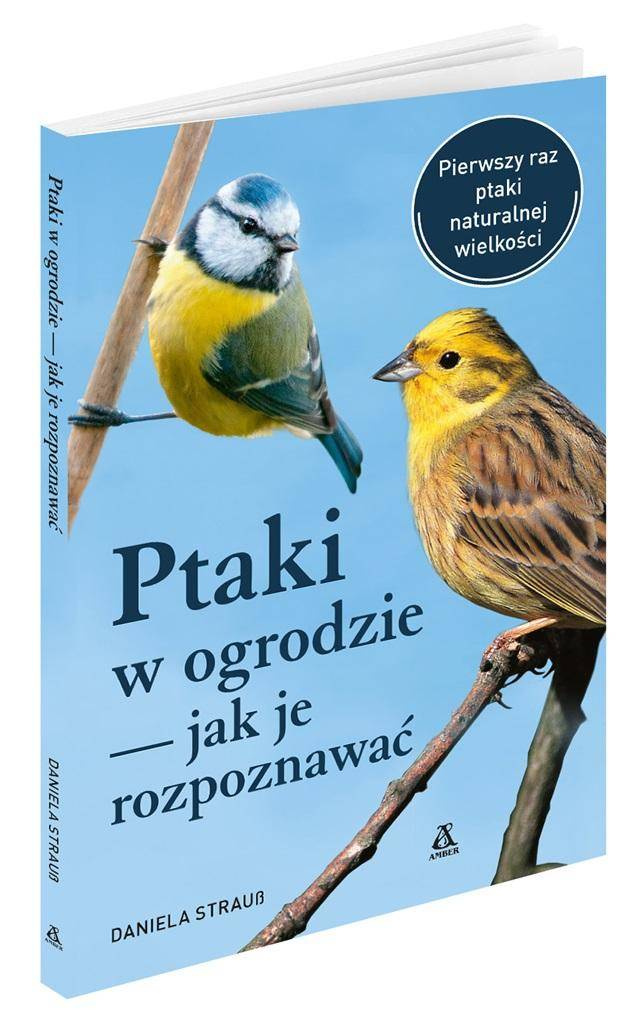 Ptaki w ogrodzie - jak je rozpoznawać, Daniela Strauss