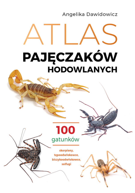 Atlas pajęczaków hodowlanych. 100 gatunków, Angelika Dawidowicz