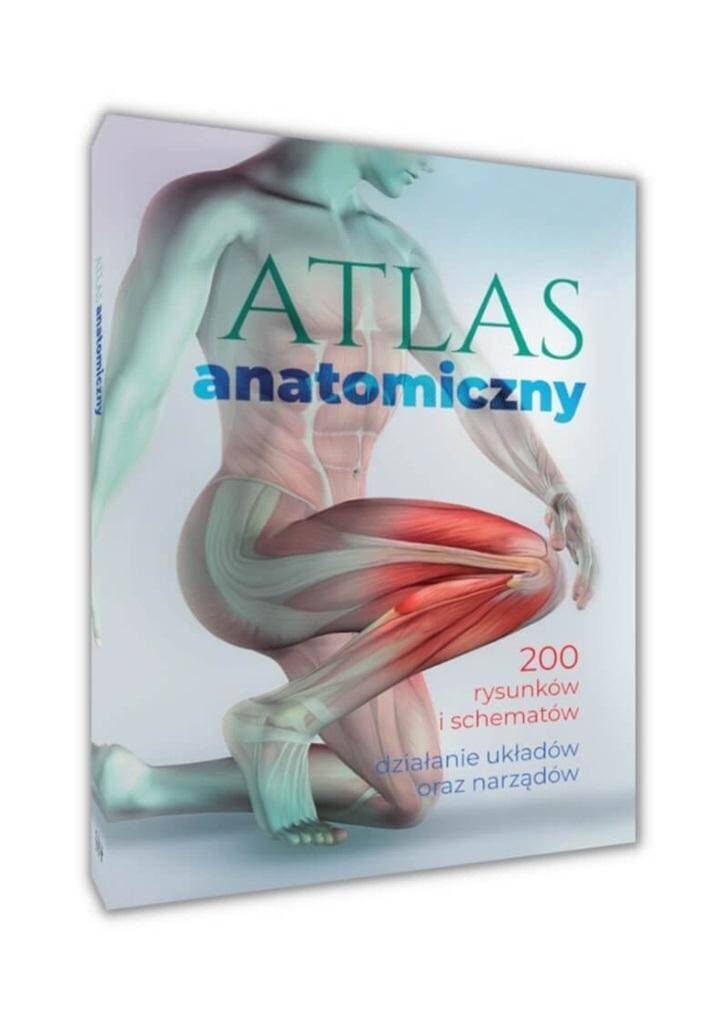 Atlas anatomiczny, Justyna Mazurek