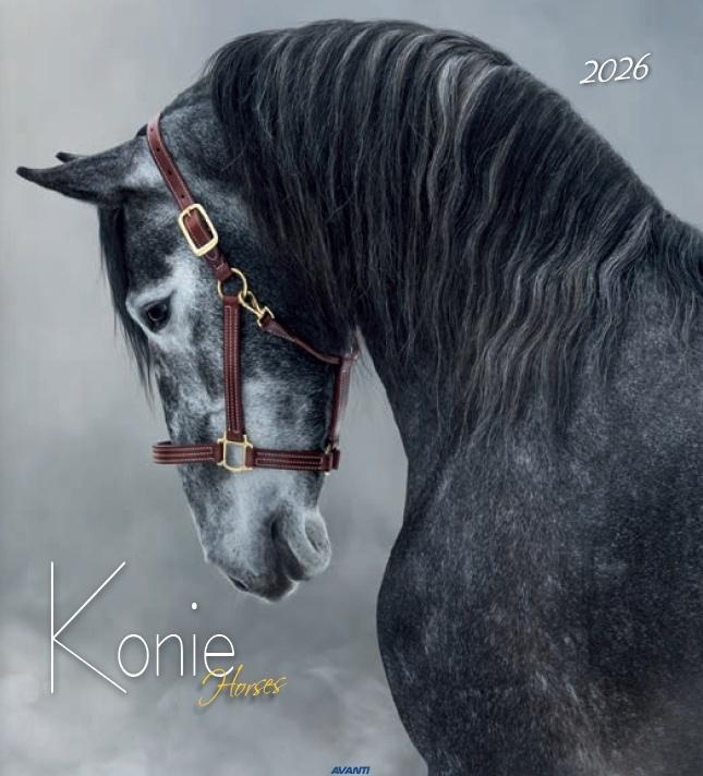 Kalendarz 2026 ścienny 32x32cm Konie