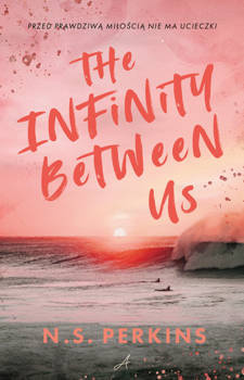 The Infinity Between Us, N.S. Perkins