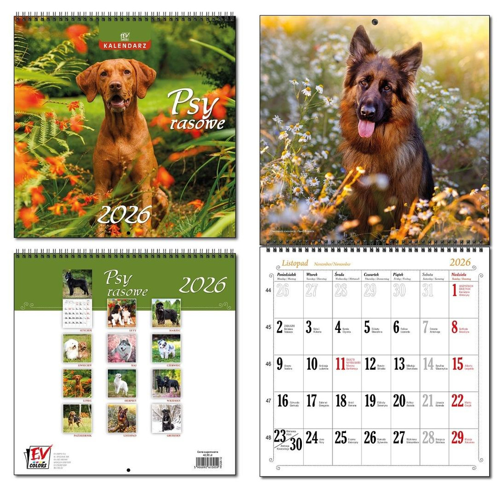 Kalendarz 2026 30x60 13 planszowy Psy Rasowe