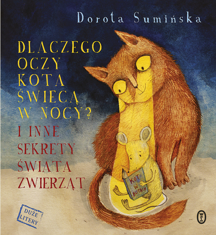 Dlaczego oczy kota świecą w nocy?, Dorota Sumińska