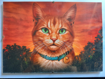 Plakat Wojownicy Ucieczka w dzicz