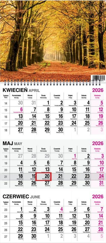 Kalendarz 2026 trójdzielny na spirali Las